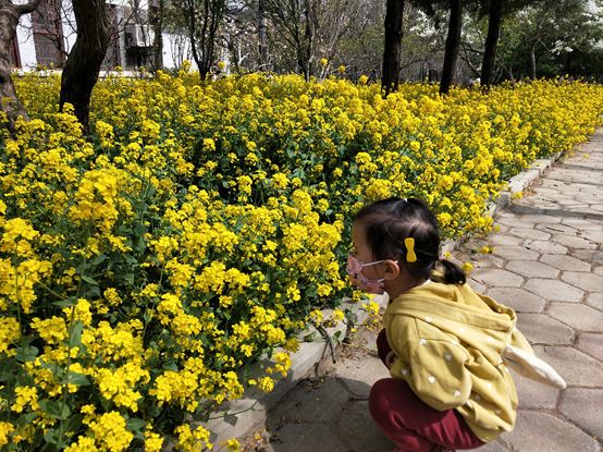 春暖花开